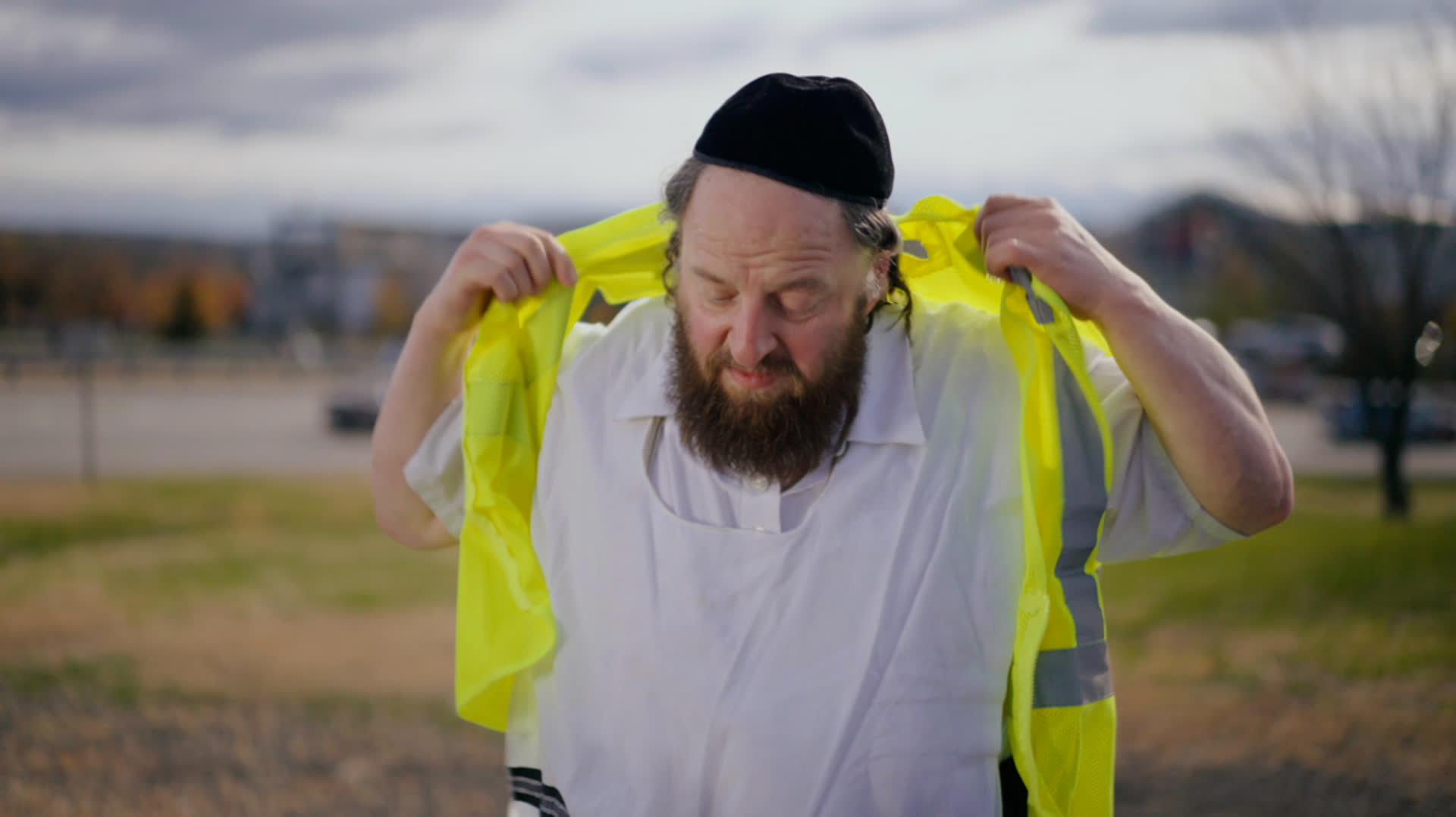 After: Brown beard in outdoor scene